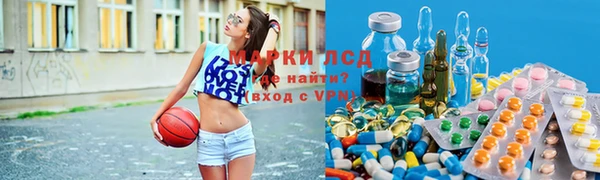 меф Арсеньев